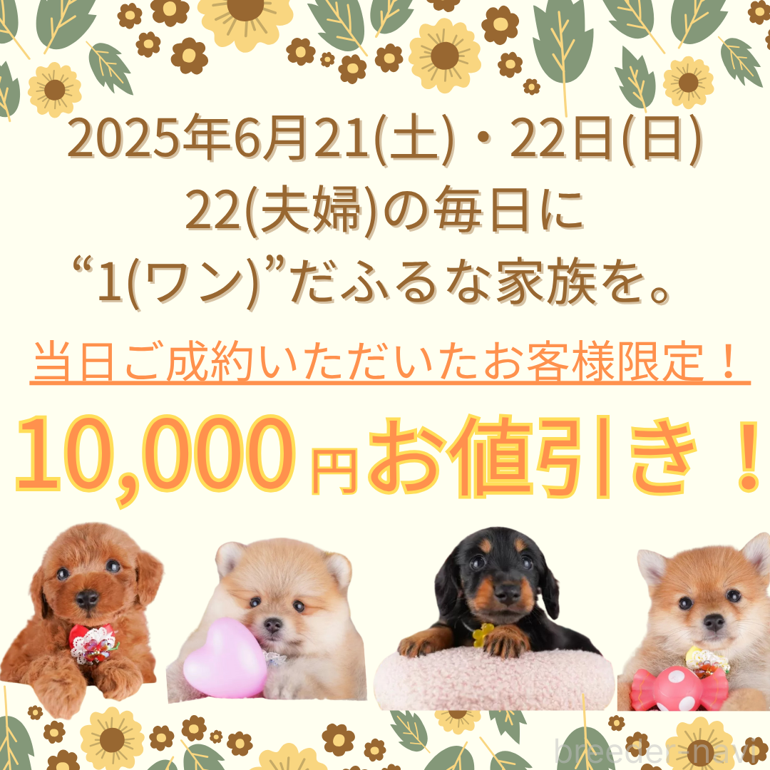 鈴木愛ブリーダー